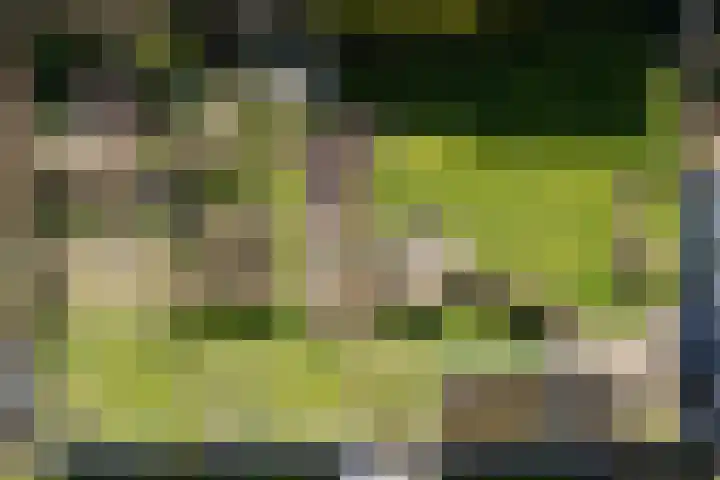 Keegensterweg 23 Burum thumbnail 8