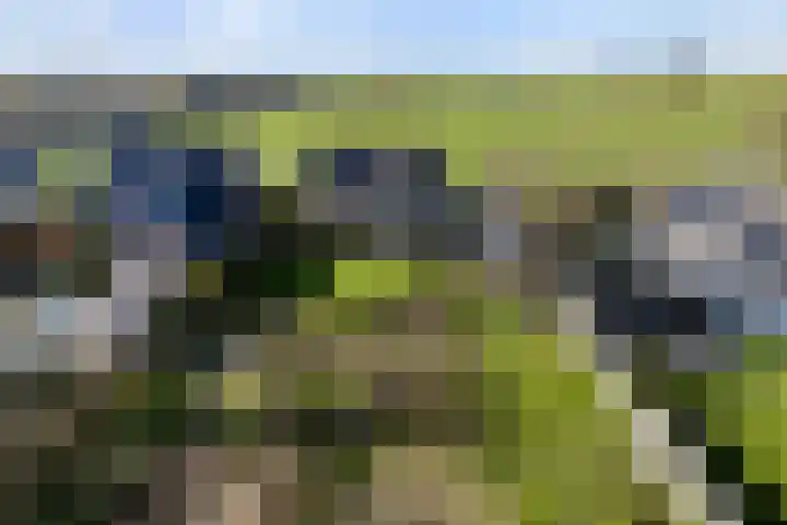 Keegensterweg 23 Burum thumbnail 9