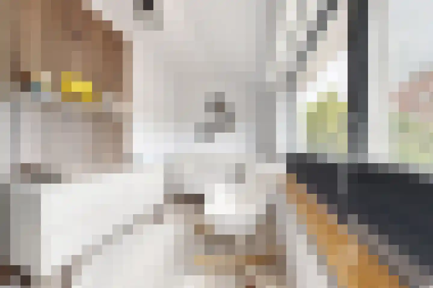 Keenestraat 8 Klundert thumbnail 42