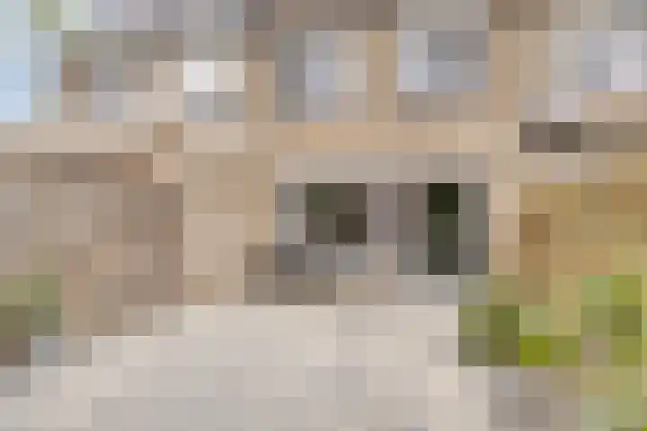 Keenwerf 22 Gouda thumbnail 11