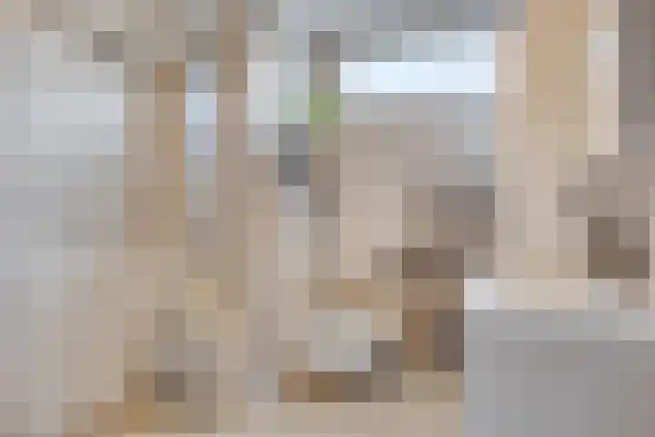 Keenwerf 22 Gouda thumbnail 17