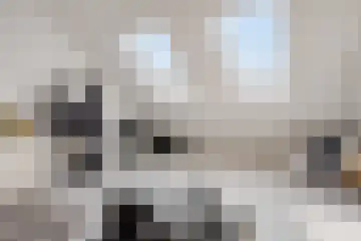 Keenwerf 22 Gouda thumbnail 21
