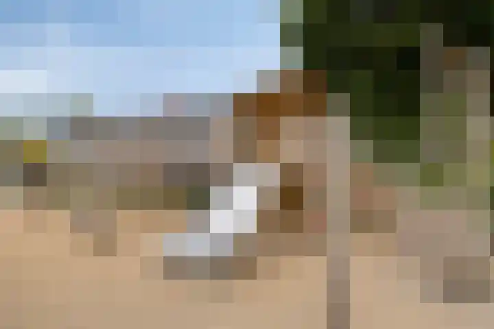 Keenwerf 22 Gouda thumbnail 24