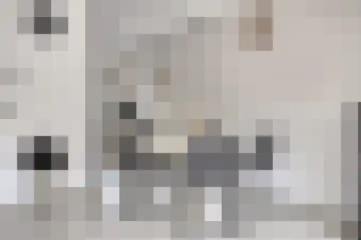 Keenwerf 22 Gouda thumbnail 4