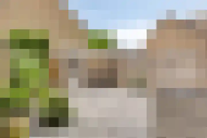 Keenwerf 22 Gouda thumbnail 9