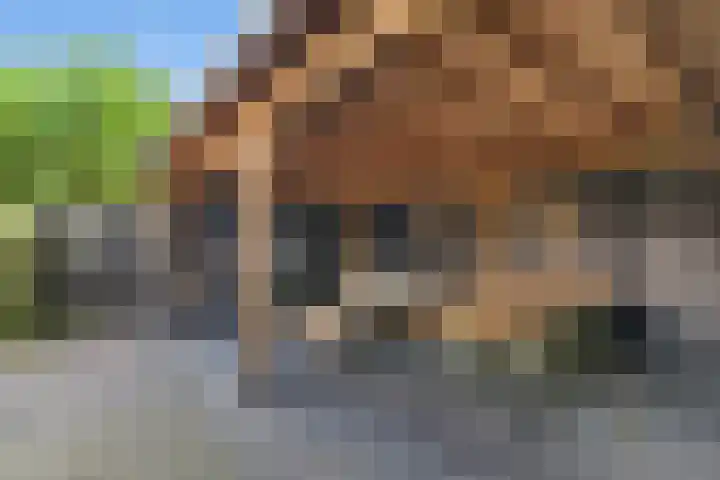 Keerberg 15 A Voerendaal thumbnail 18