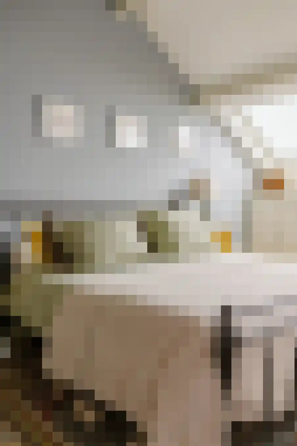 Keerberg 20 Cadier en Keer thumbnail 25