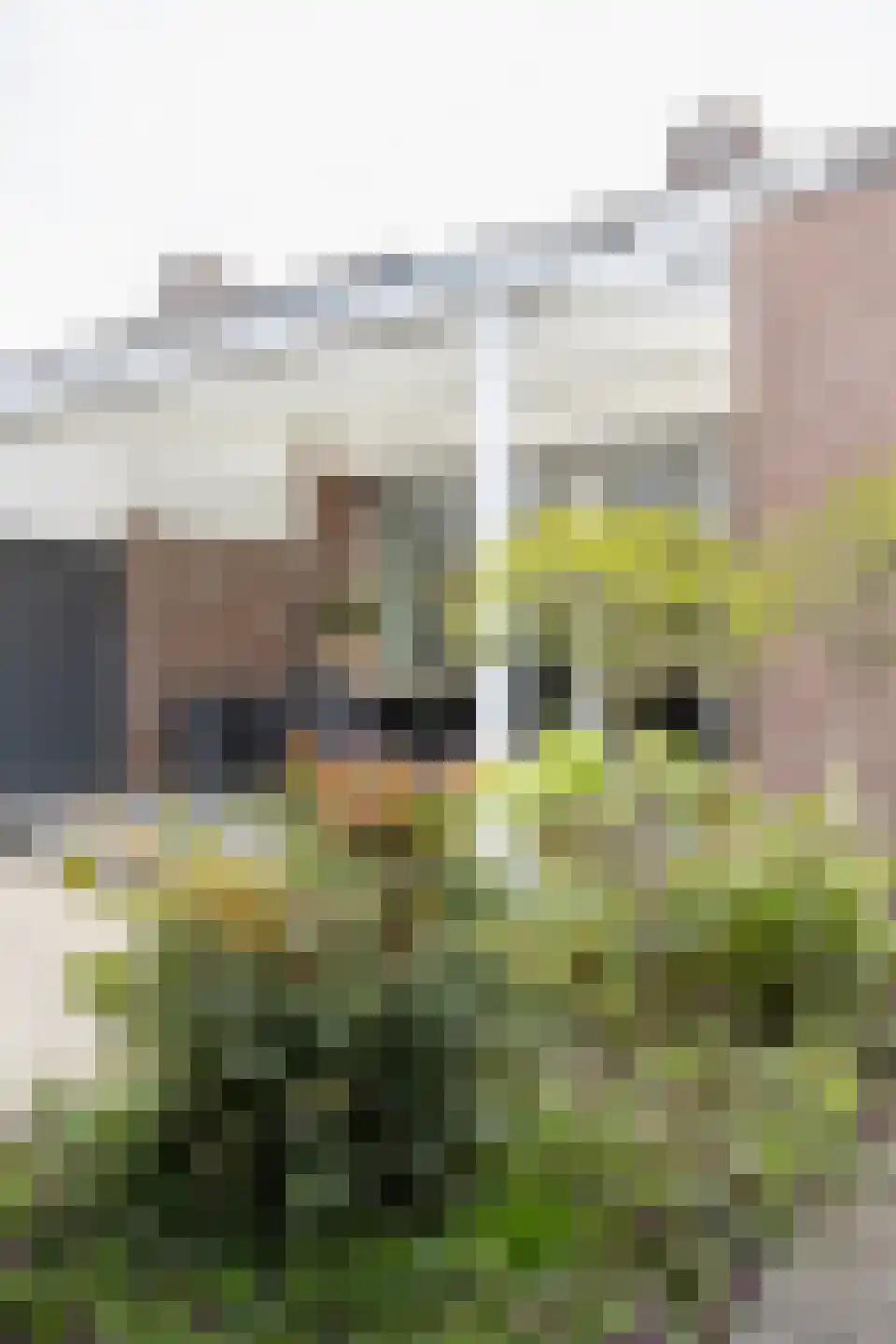 Keerberg 20 Cadier en Keer thumbnail 49