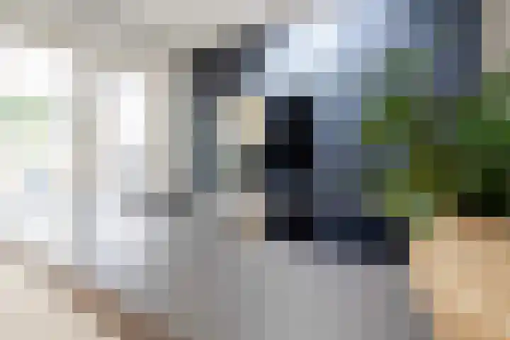Keerberg 38 Voerendaal thumbnail 13