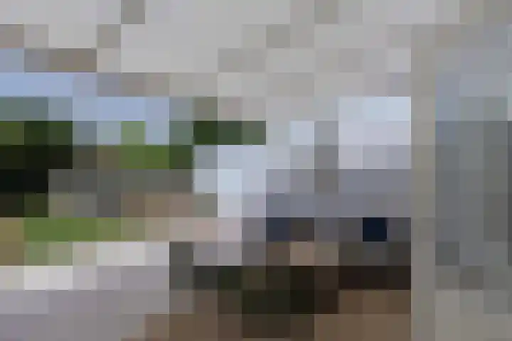 Keerberg 38 Voerendaal thumbnail 44