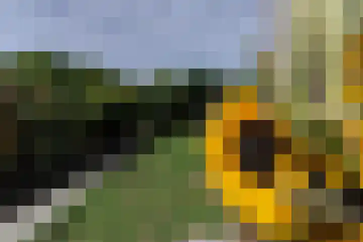 Keerberg 38 Voerendaal thumbnail 46