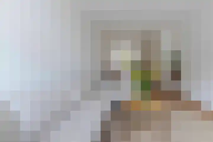 Keerberg 38 Voerendaal thumbnail 7