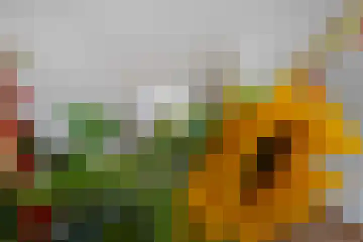 Keerberg 38 Voerendaal thumbnail 8