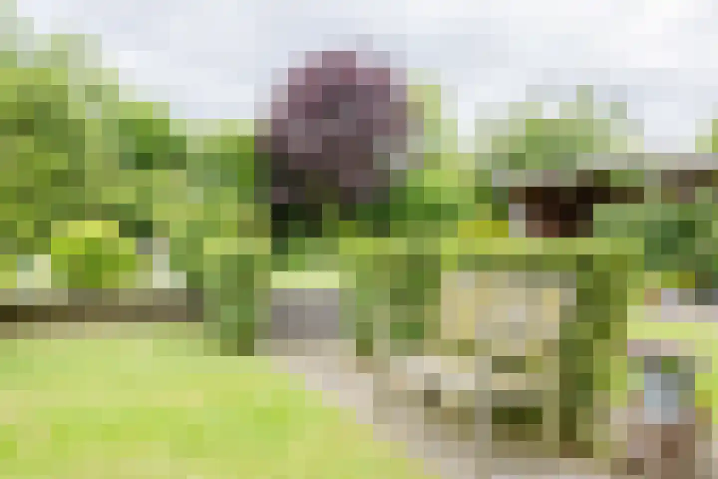 Keerberg 67 Cadier en Keer thumbnail 61