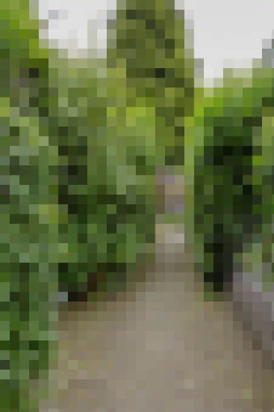 Keerberg 67 Cadier en Keer thumbnail 68
