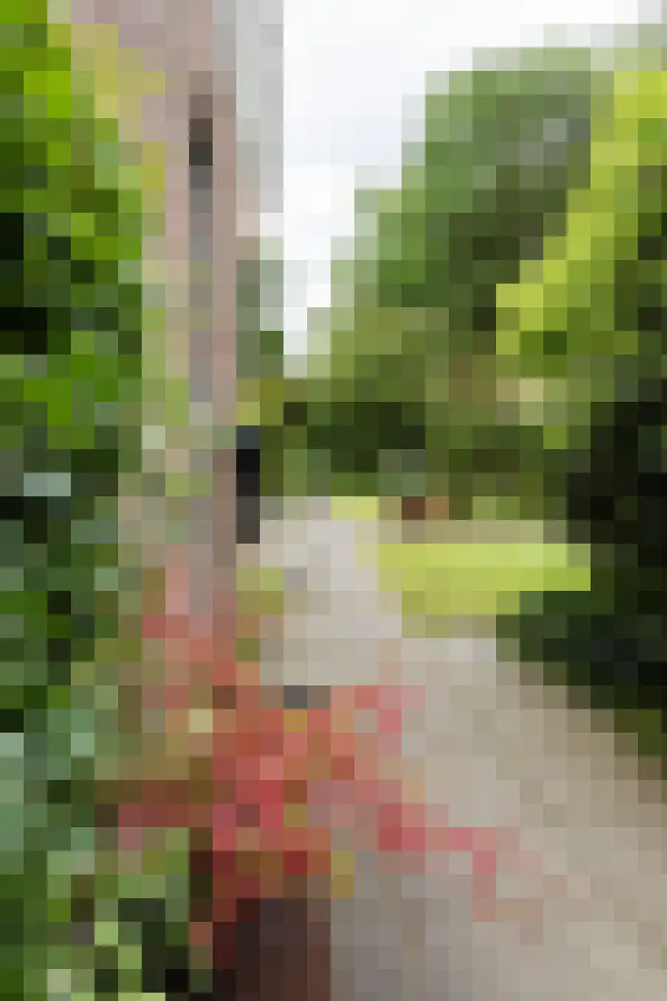 Keerberg 67 Cadier en Keer thumbnail 71