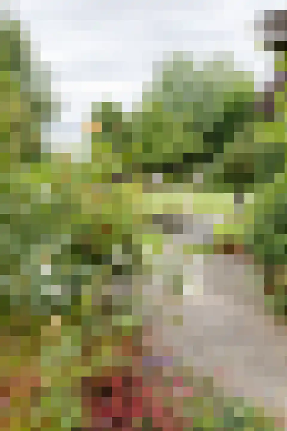 Keerberg 67 Cadier en Keer thumbnail 72