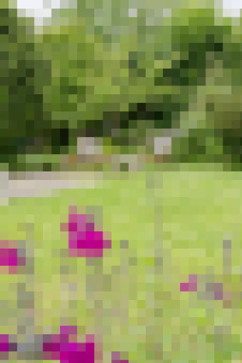Keerberg 67 Cadier en Keer thumbnail 73