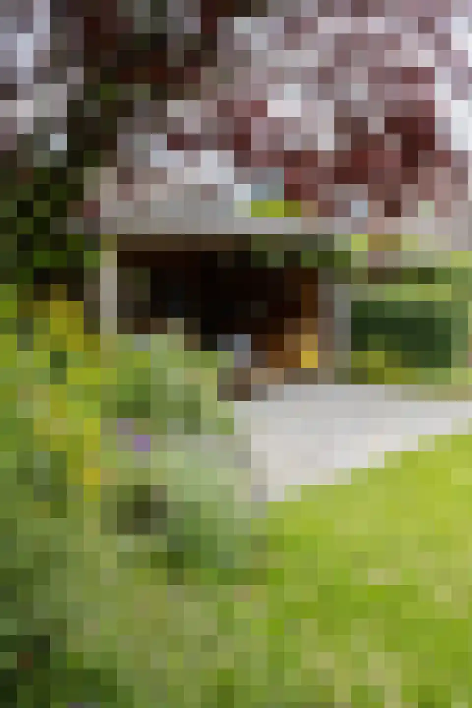 Keerberg 67 Cadier en Keer thumbnail 74