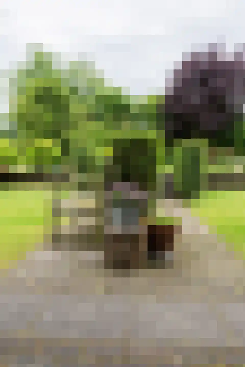 Keerberg 67 Cadier en Keer thumbnail 75