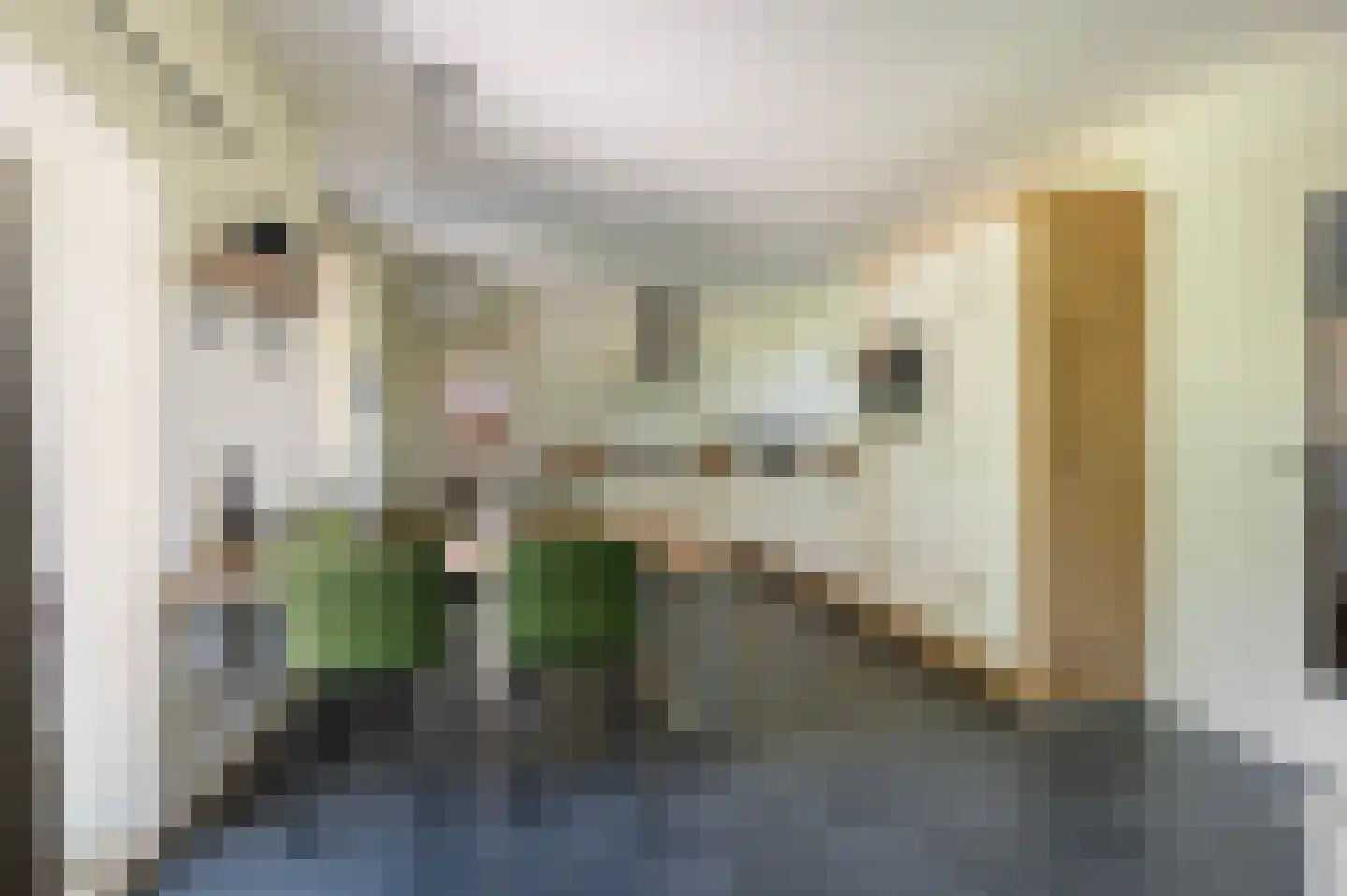 Keerdijk 4 Eibergen thumbnail 22
