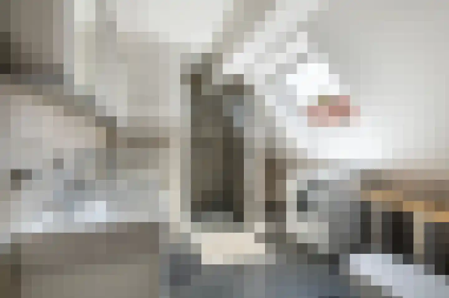 Keerdijk 4 Eibergen thumbnail 40