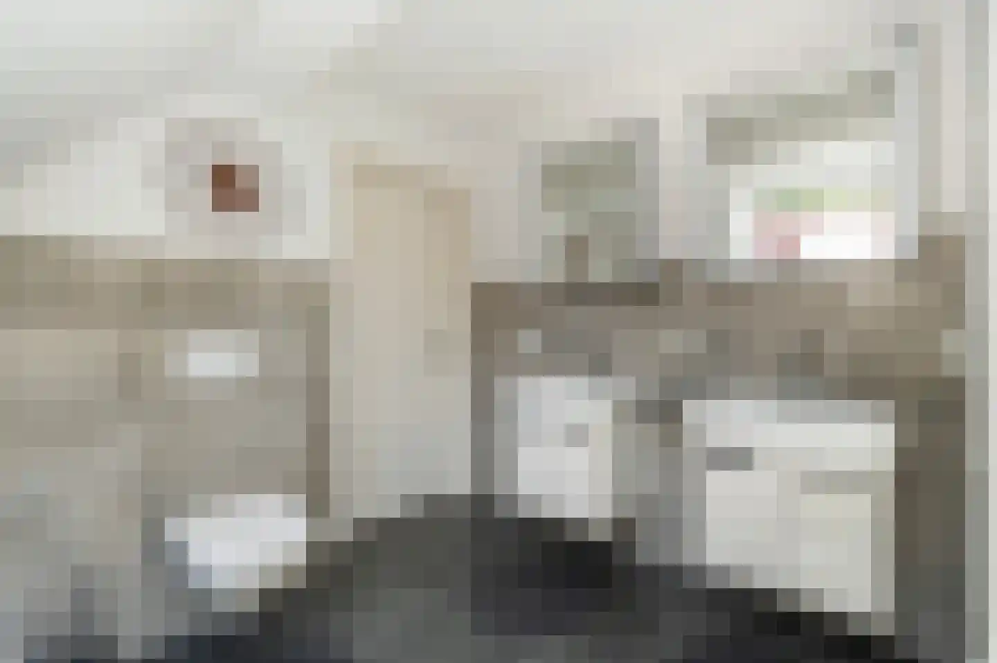 Keerdijk 4 Eibergen thumbnail 41
