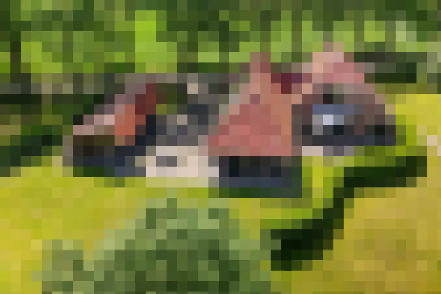Keerdijk 4 Eibergen thumbnail 45