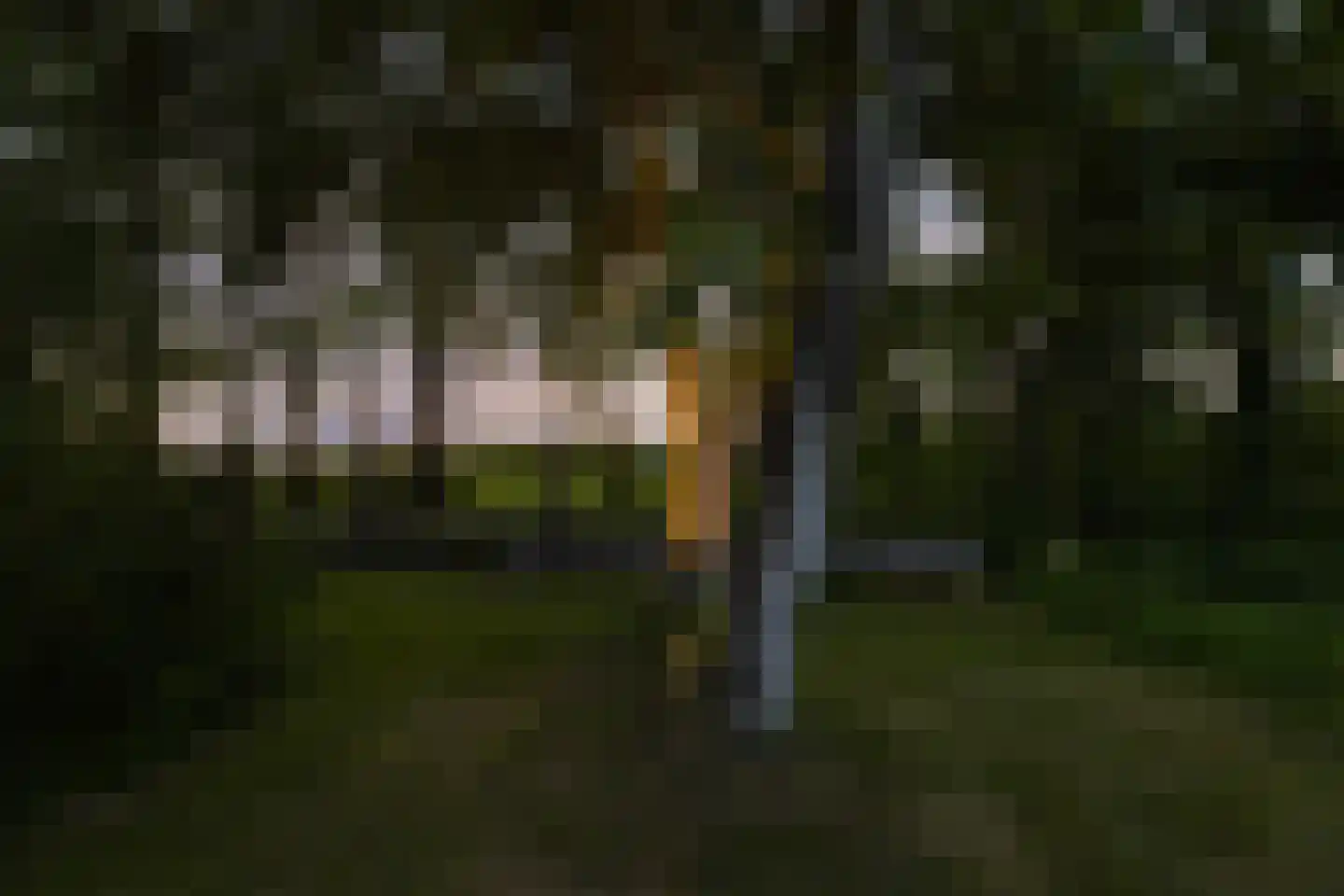 Keerdijk 4 Eibergen thumbnail 68