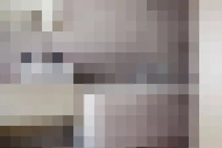 Keerend 14 Stein thumbnail 10