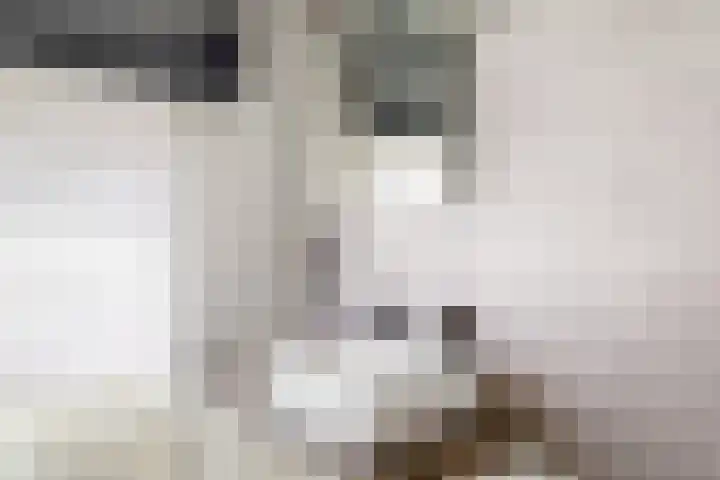 Keerend 14 Stein thumbnail 23