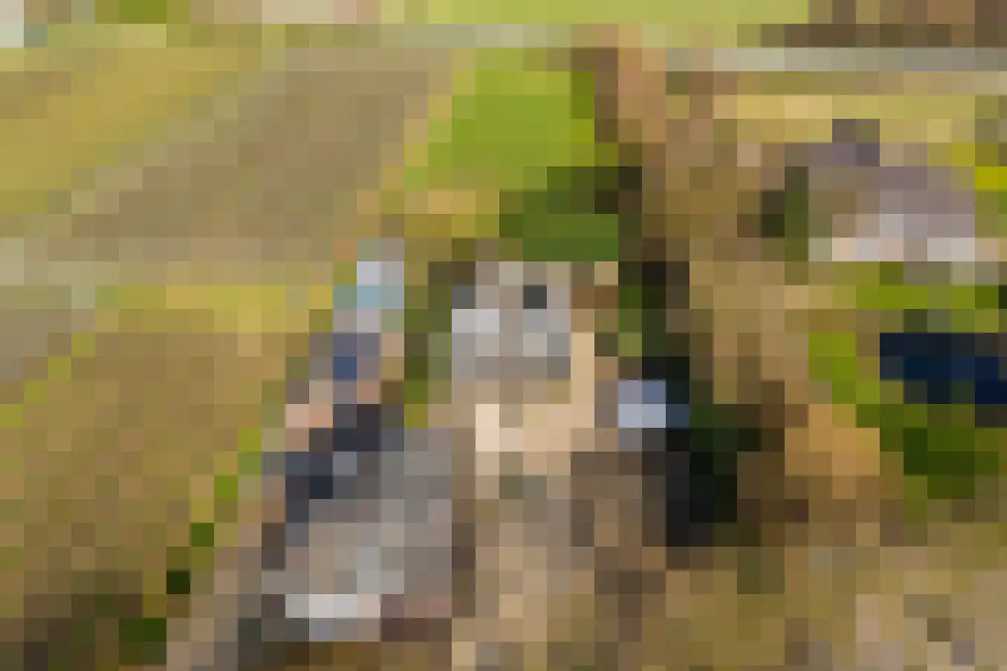 Keerenderkerkweg 16 Stein thumbnail 11