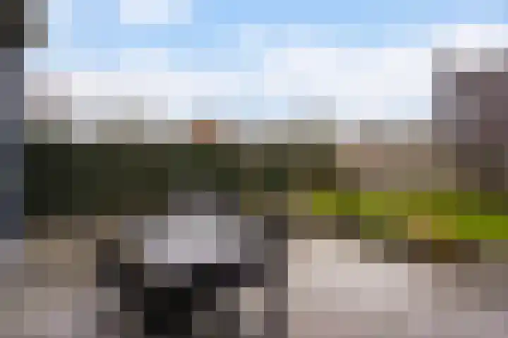 Keerenderkerkweg 16 Stein thumbnail 13