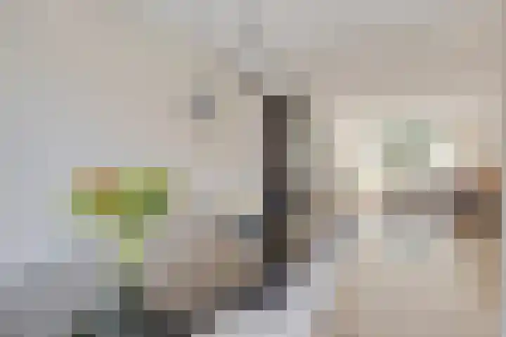 Keerenderkerkweg 16 Stein thumbnail 17