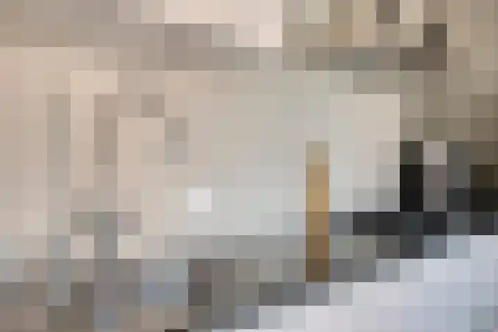 Keerenderkerkweg 16 Stein thumbnail 20