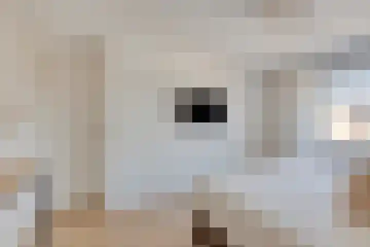 Keerenderkerkweg 16 Stein thumbnail 29