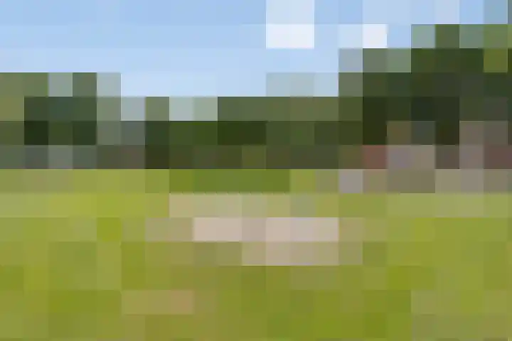 Keerenderkerkweg 16 Stein thumbnail 34