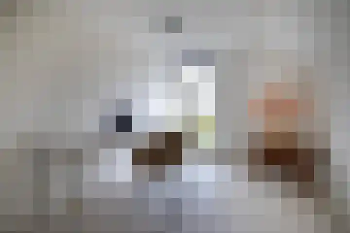 Keerenderkerkweg 16 Stein thumbnail 8