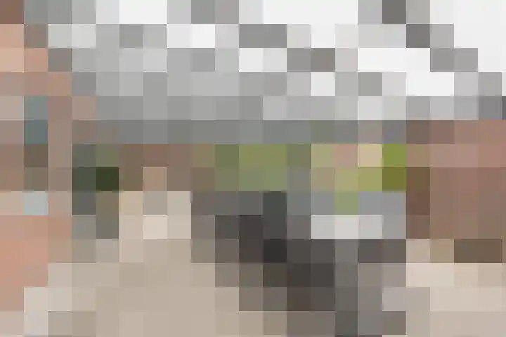 Keerenderkerkweg 42 Stein thumbnail 15