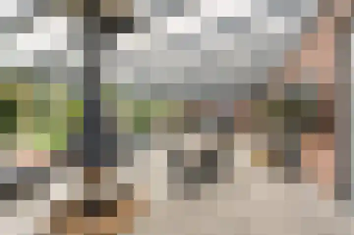 Keerenderkerkweg 42 Stein thumbnail 16