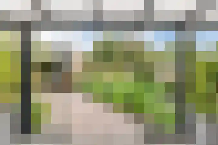Keerenderkerkweg 42 Stein thumbnail 17