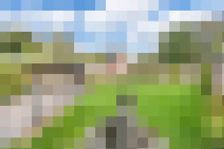 Keerenderkerkweg 42 Stein thumbnail 18