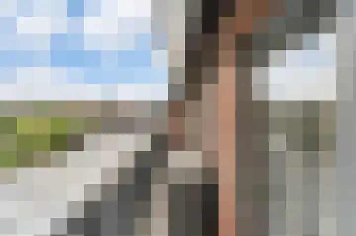Keerenderkerkweg 42 Stein thumbnail 26