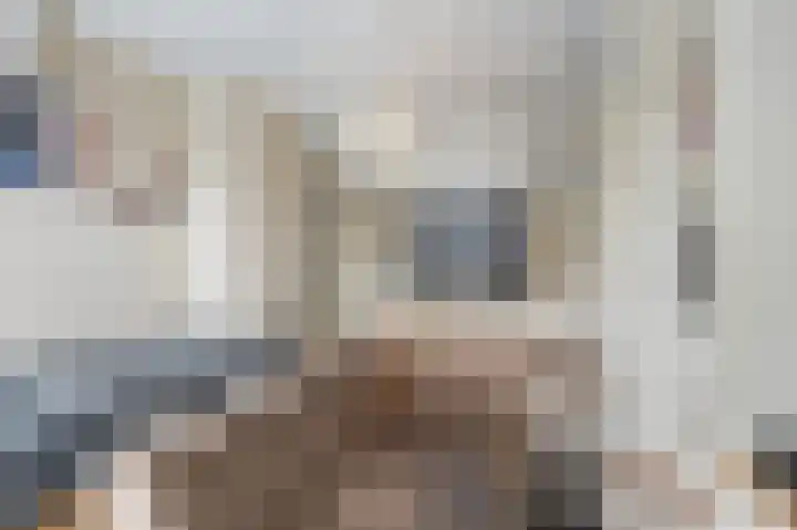 Keerenderkerkweg 42 Stein thumbnail 31