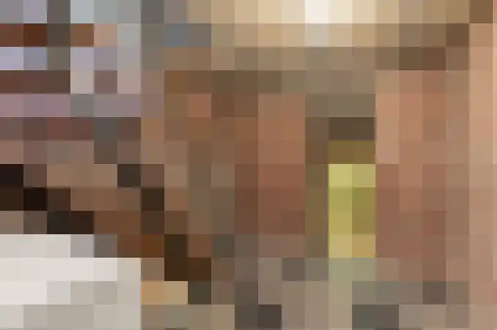 Keerenderkerkweg 42 Stein thumbnail 34