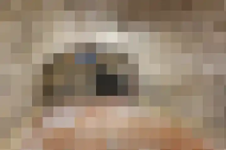 Keerenderkerkweg 42 Stein thumbnail 35