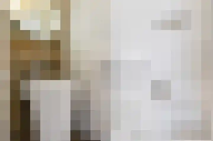 Keerenderkerkweg 42 Stein thumbnail 8