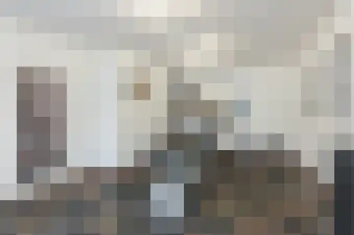 Keerenderkerkweg 42 Stein thumbnail 9