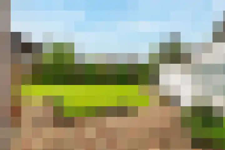 Keerenderkerkweg 7 Stein thumbnail 15