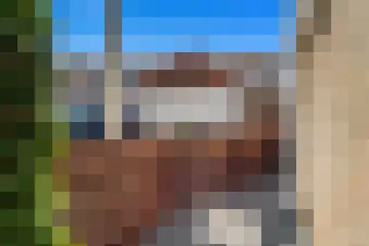 Keeriet 2 Bornerbroek thumbnail 14